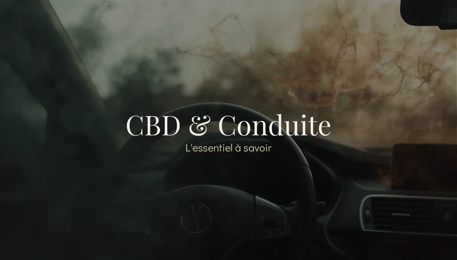 CBD et conduite : ce qu’il faut absolument savoir avant de prendre le volant