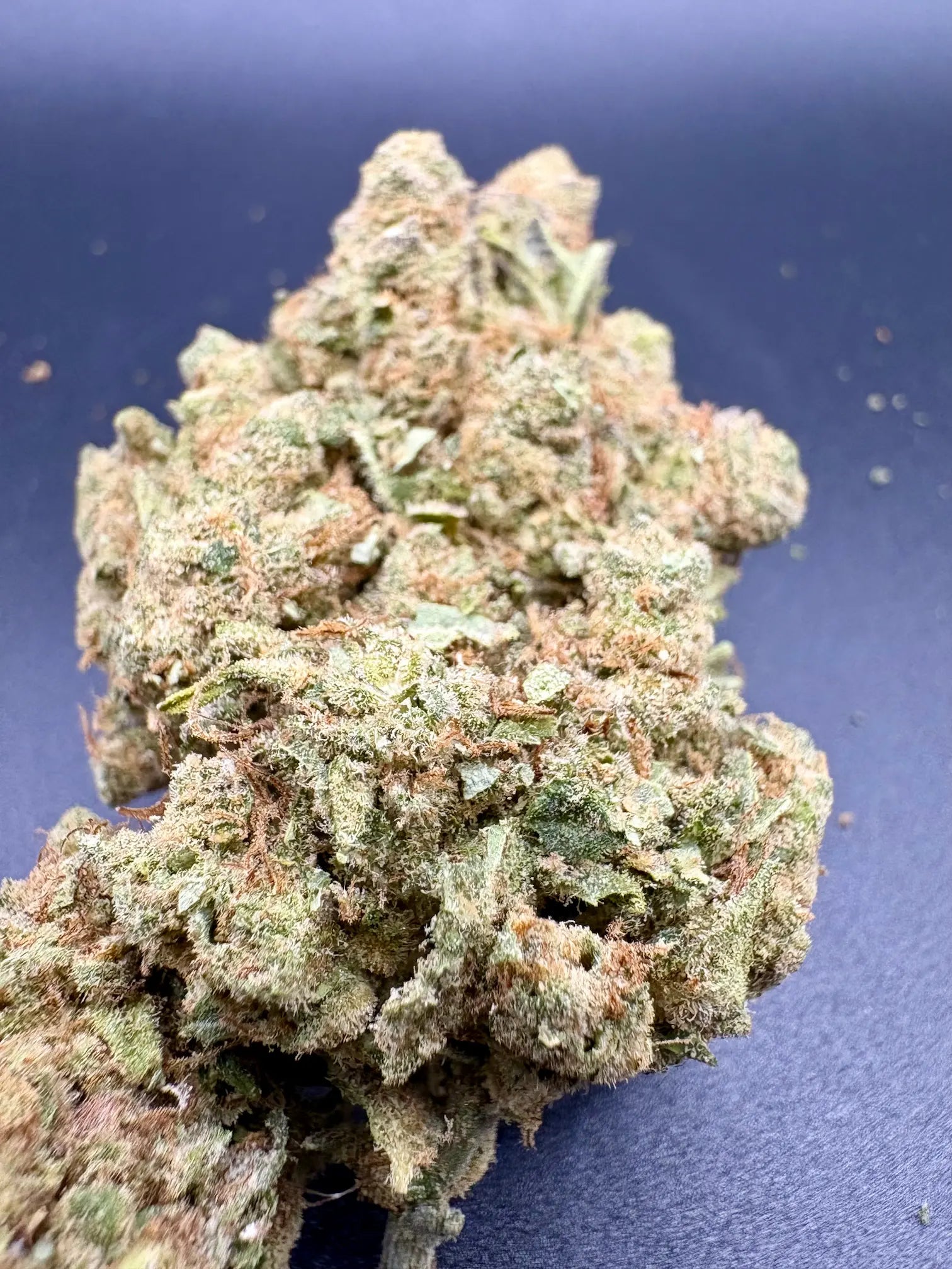 🍃 Amnesia Haze - Fleur CBD Premium - Énergisante et citronnée