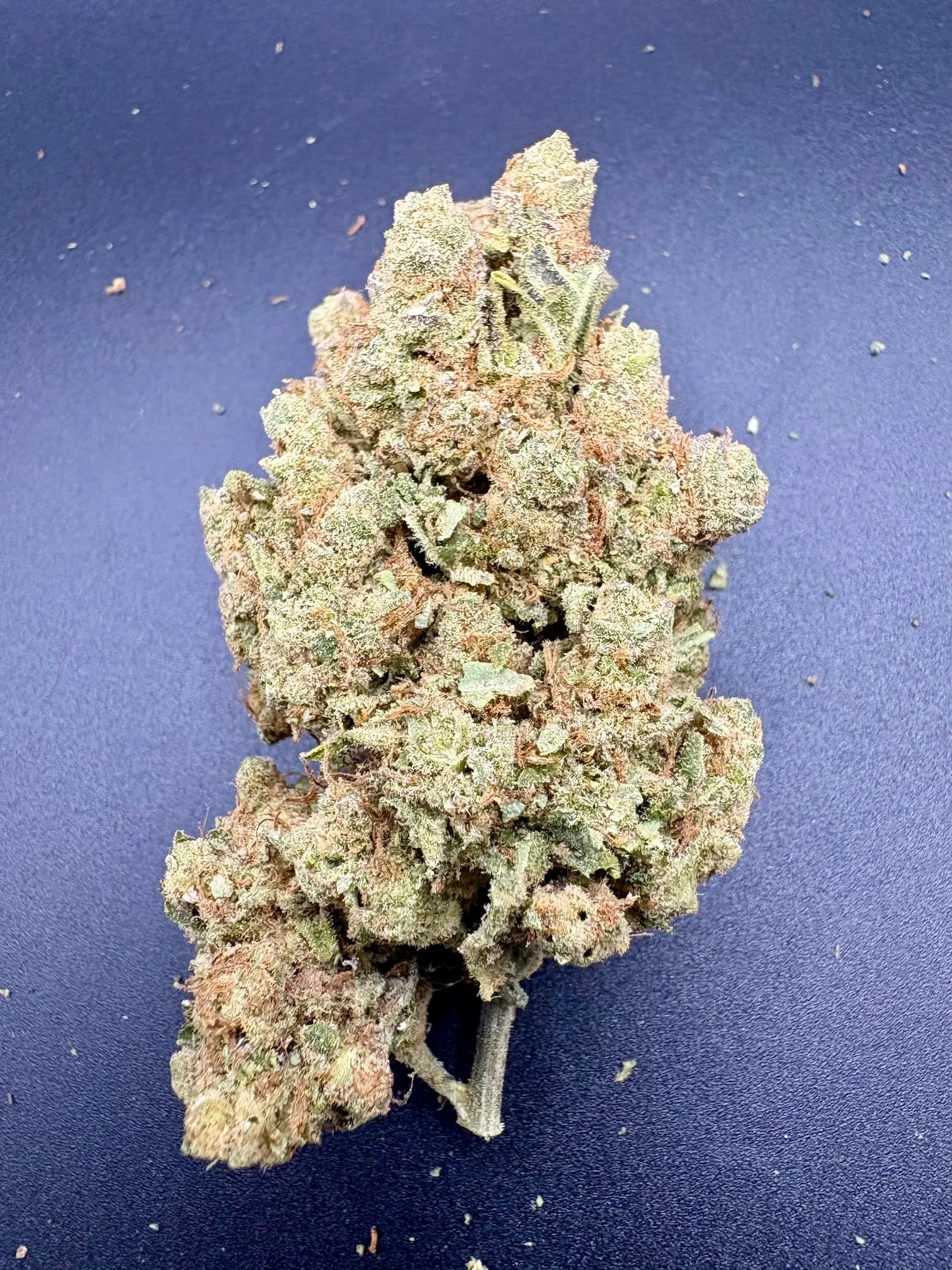 🍃 Amnesia Haze - Fleur CBD Premium - Énergisante et citronnée